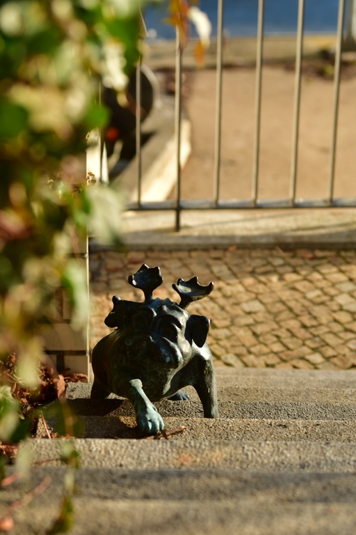 2026-01-08 Brandenburg an der Havel/Waldmöpse/DSC_2339.JPG